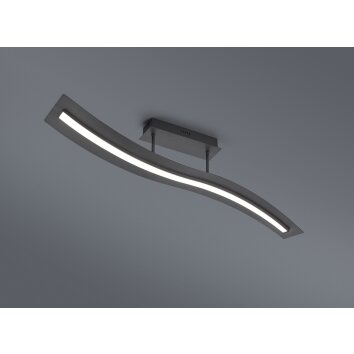 Trio Leuchten Salerno Deckenleuchte LED Schwarz, 1-flammig Trio Leuchten Salerno Deckenleuchte LED Schwarz, 1-flammig