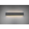 Trio Leuchten CONCHA Wandleuchte LED Anthrazit, 2-flammig