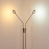 Gulkana Stehleuchte LED Nickel-Matt, 2-flammig