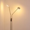 Gulkana Stehleuchte LED Nickel-Matt, 2-flammig