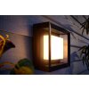 Philips Hue Ambiance White & Color Econic Wandleuchte LED Schwarz, 1-flammig, Farbwechsler