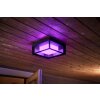 Philips Hue Ambiance White & Color Econic Wandleuchte LED Schwarz, 1-flammig, Farbwechsler