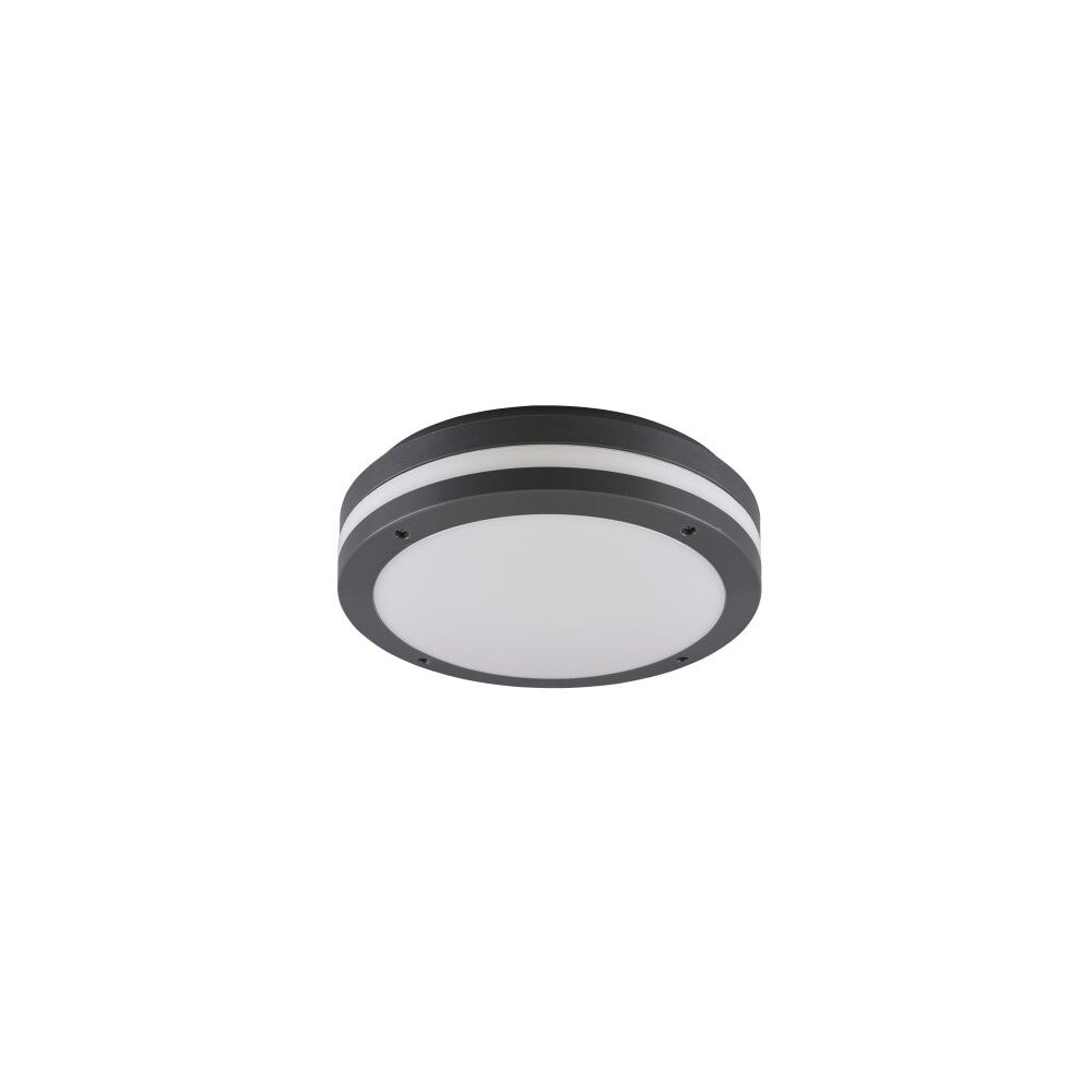 Reality KENDAL Aussendeckenleuchte LED Anthrazit, 1-flammig main product photo