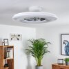 Petrovac Deckenventilator LED Chrom, Weiß, 1-flammig, Fernbedienung