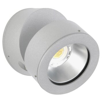 Albert 2389 Außenwandleuchte LED Silber, 1-flammig