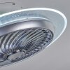 Tamworth Deckenventilator LED Silber, Transparent, Klar, 1-flammig, Fernbedienung