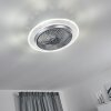 Tamworth Deckenventilator LED Silber, Transparent, Klar, 1-flammig, Fernbedienung