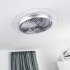 Tamworth Deckenventilator LED Silber, Transparent, Klar, 1-flammig, Fernbedienung