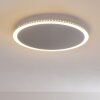 Aitrach Deckenleuchte LED Silber, Weiß, 1-flammig