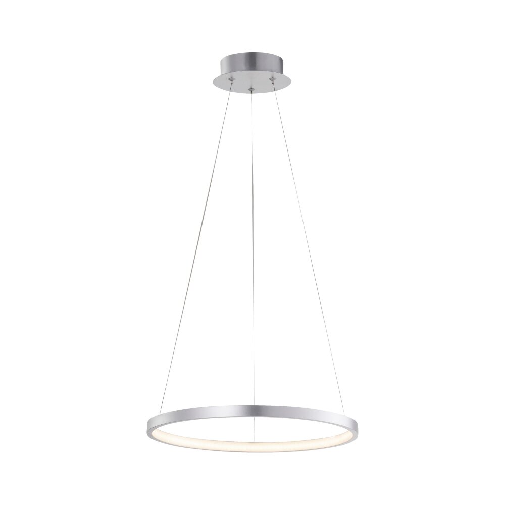 Leuchten Direkt CIRCLE Pendelleuchte LED Silber, 1-flammig main product photo