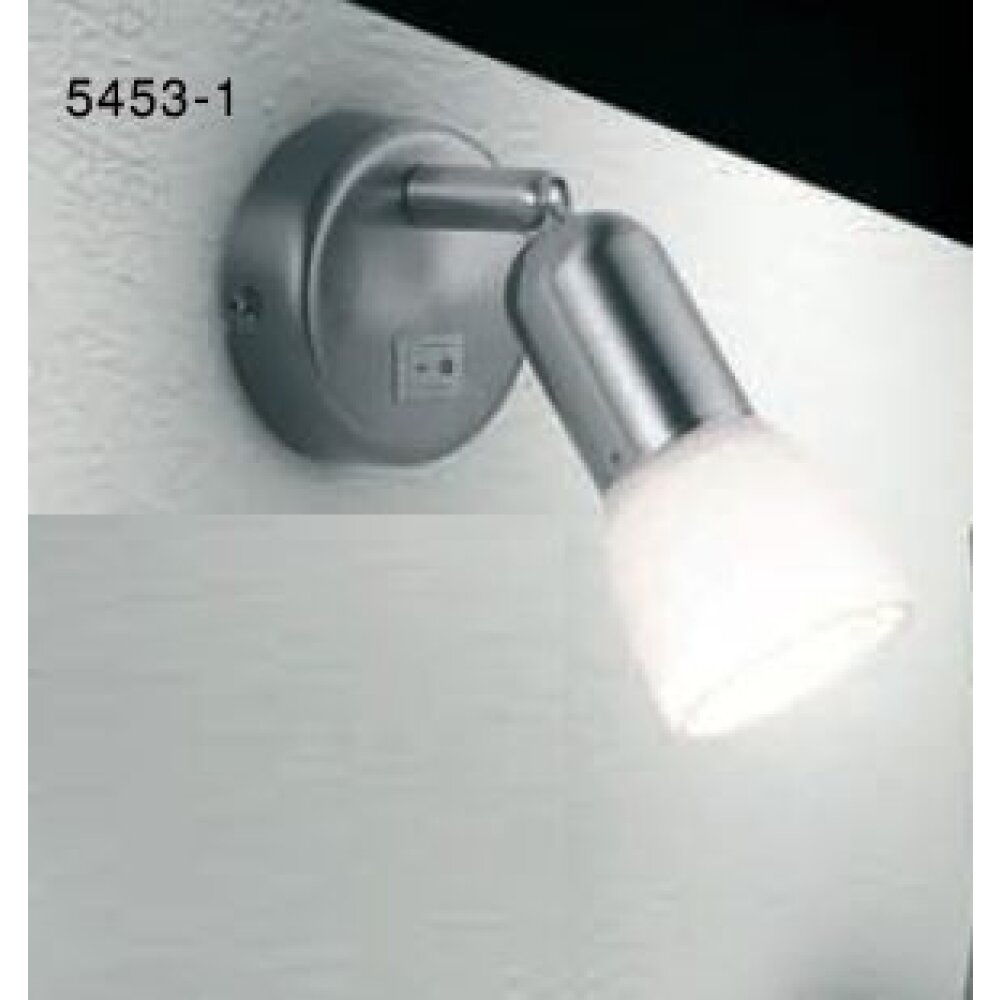 Globo CATHY Strahler Edelstahl, Nickel-Matt, 1-flammig main product photo