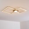 Narpes Deckenleuchte LED Nickel-Matt, 1-flammig