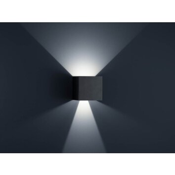 Helestra SIRI 44-L Aussenwandleuchte LED Schwarz, 2-flammig
