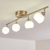 Motala Deckenleuchte LED Nickel-Matt, 4-flammig, Fernbedienung, Farbwechsler