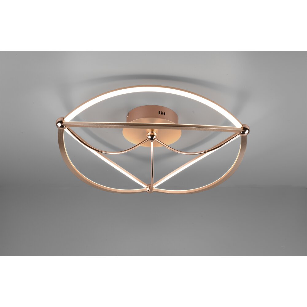 Trio Leuchten Charivari Deckenleuchte LED Messing, 1-flammig main product photo