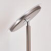 Wonsbek Deckenfluter LED Nickel-Matt, 1-flammig