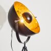 Saturn Stehlampe Schwarz, 1-flammig