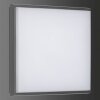 LCD TYP 5060 Außendeckenleuchte LED Schwarz, 1-flammig