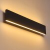 Obion Wandleuchte LED Schwarz, 2-flammig